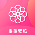 苹果免费Ⅴpn