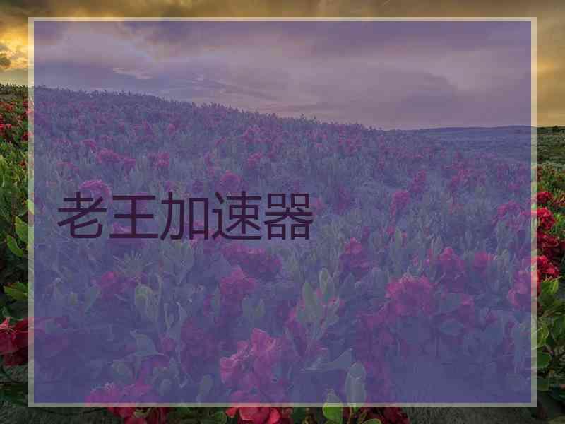 老王加速器